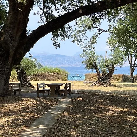 Villa Dimitris *