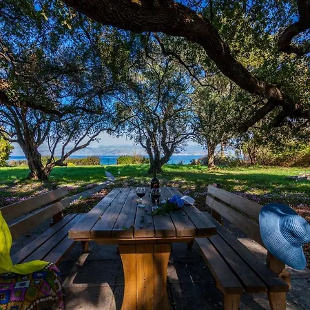 Dimitris Vilă Kassiopi